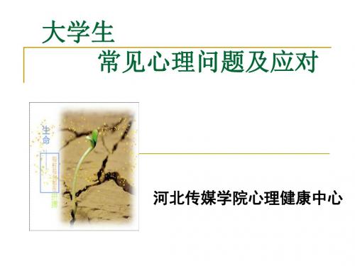 心理委员培训-大学生常见心理问题及应对四 PPT课件