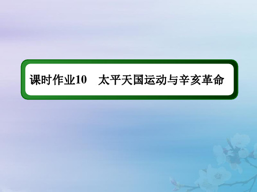 2021高考历史大一轮复习课时作业10太平天国运动与辛亥革命课件岳麓版