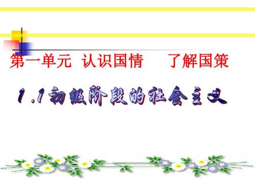 粤教九年级第一单元第一课初级阶段的社会主义共27张ppt