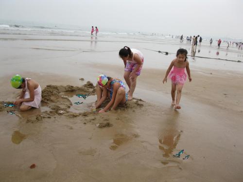 《浅水洼里的小鱼》课件