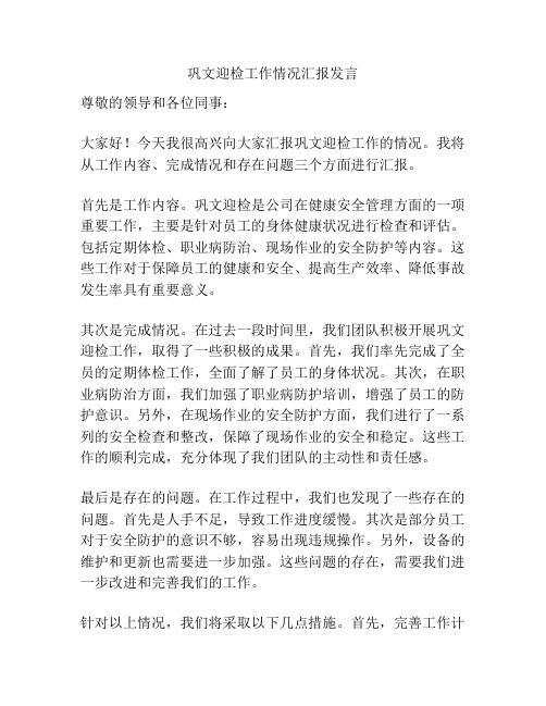 巩文迎检工作情况汇报发言