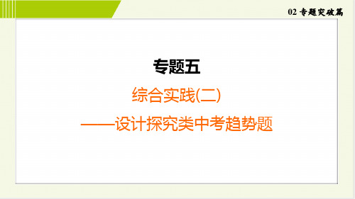 2024年中考数学总复习专题五综合实践(二) ——设计探究类中考趋势题