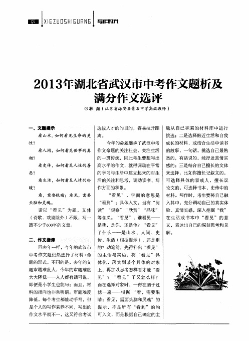 2013年湖北省武汉市中考作文题析及满分作文选评