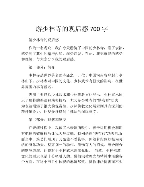 游少林寺的观后感700字