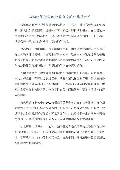 与动物细胞有丝分裂有关的结构是什么