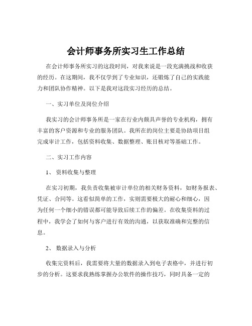 会计师事务所实习生工作总结