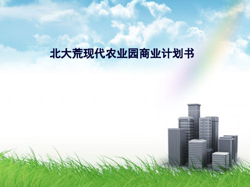 北大荒现代农业园商业计划书