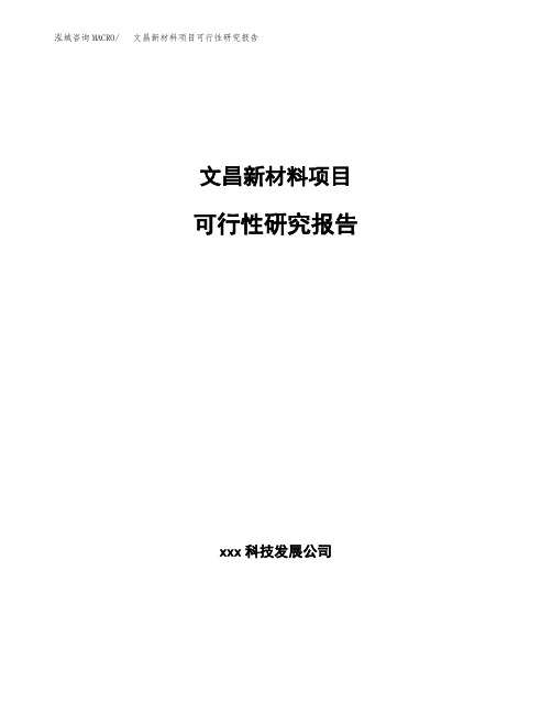 文昌新材料项目可行性研究报告