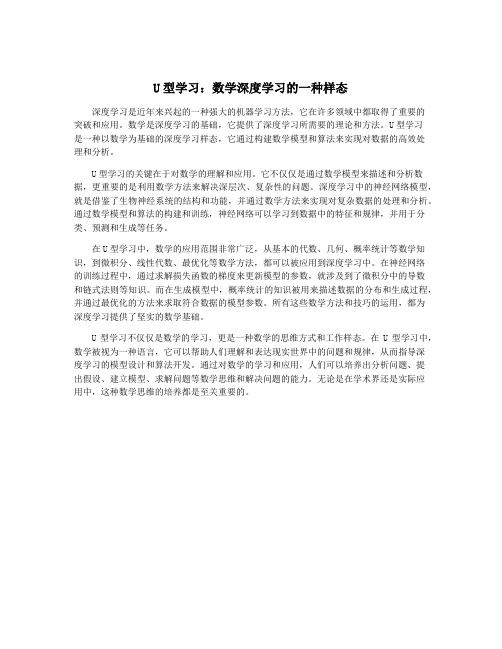 U型学习：数学深度学习的一种样态