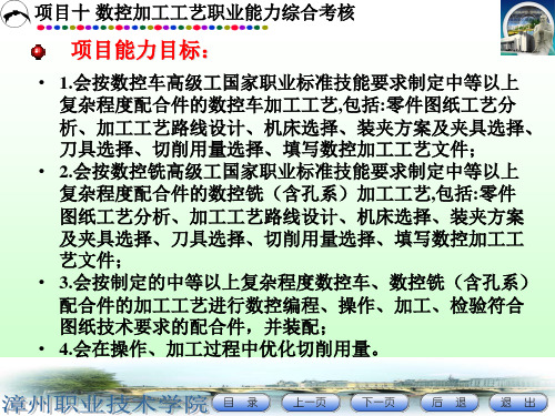 项目十数控加工工艺职业能力综合考核