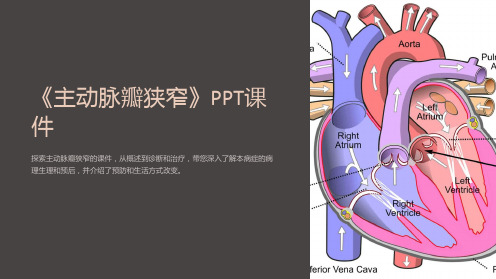 《主动脉瓣狭窄》课件