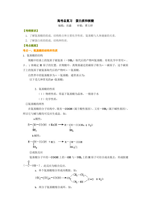 (基础)知识讲解 蛋白质 核酸