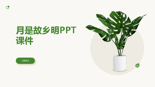 月是故乡明PPT课件