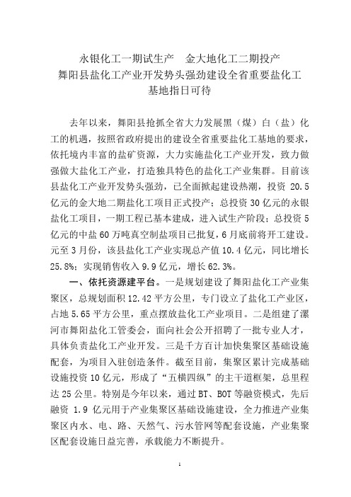 舞阳县强力实施盐化工产业开发