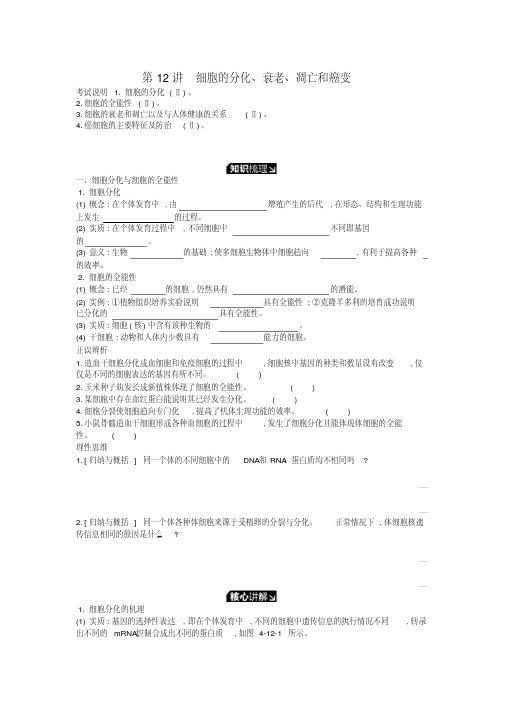 2019版高考生物一轮复习第4单元细胞的生命历程第12讲细胞的分化、衰老、凋亡和癌变学案苏教版