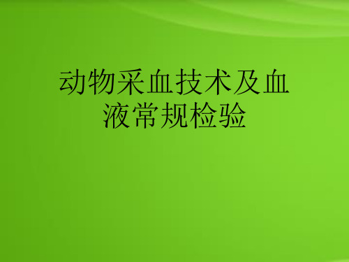 动物采血技术及血液常规检验