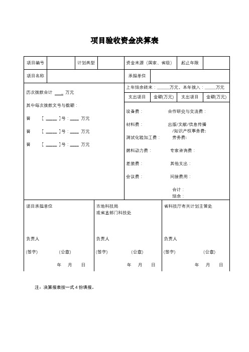 项目验收资金决算表【模板】