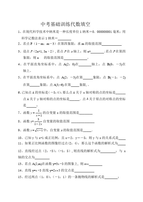 2021年数学中考基础训练代数填空