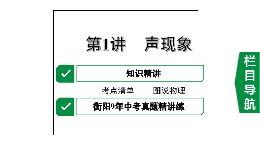 2020年衡阳市中考物理考点复习第1讲  声现象