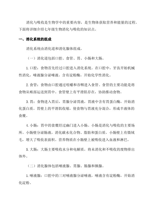 七年级生物消化与吸收知识点
