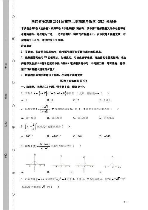 陕西省宝鸡市2024届高三上学期高考数学(理)检测卷(有答案)