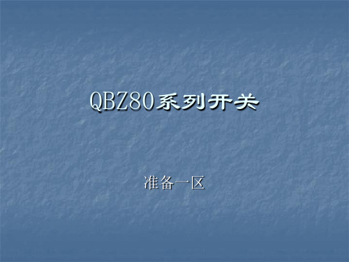 QBZ80系列开关