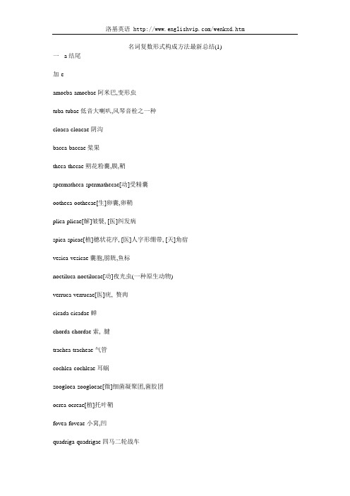 名词复数形式构成方法最新总结(1)