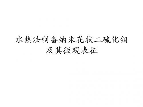 水热法制备纳米花状二硫化钼及其微观表征