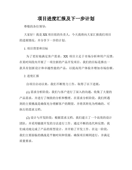 项目进度汇报及下一步计划