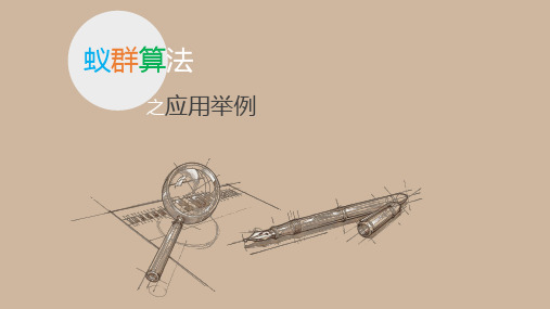 12.5 蚁群算法之应用举例