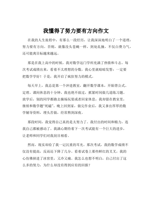 我懂得了努力要有方向作文