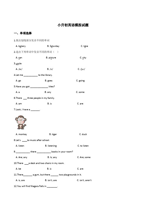 湘少版三起六年级下册英语小升初模拟试题(含答案)