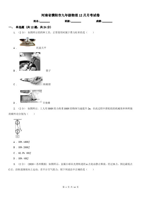 河南省濮阳市九年级物理12月月考试卷