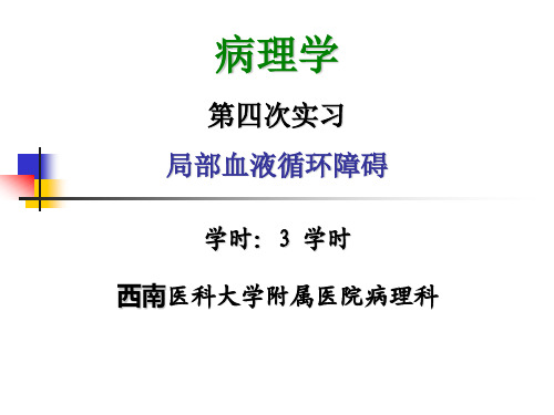 病理实验04 淤血,血栓形成、栓塞、梗死,病案讨论