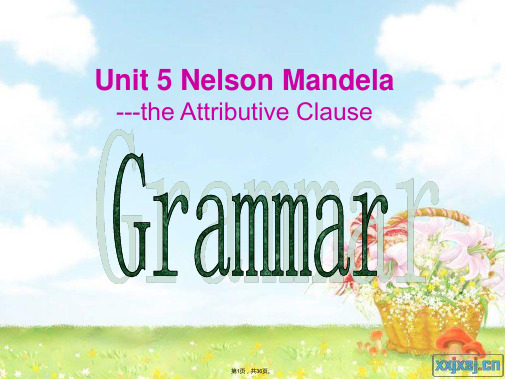 unit5-Nelson-Mandela-grammar(共36张)