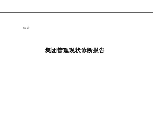 集团管理现状诊断报告