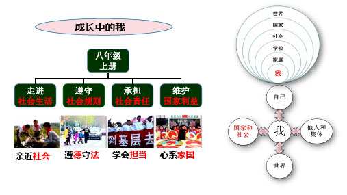 1.1 我与社会 课件(29张PPT)-2024-2025学年统编版道德与法治八年级上册  (1)