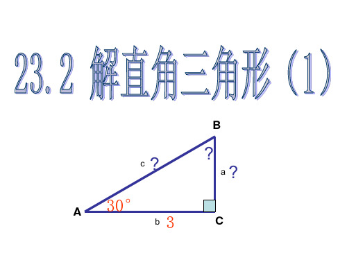 沪科版九年级数学上23.2.1解直角三角形及其应用(1)课件(共12张PPT)