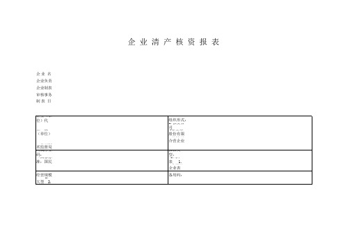 清产核资报表