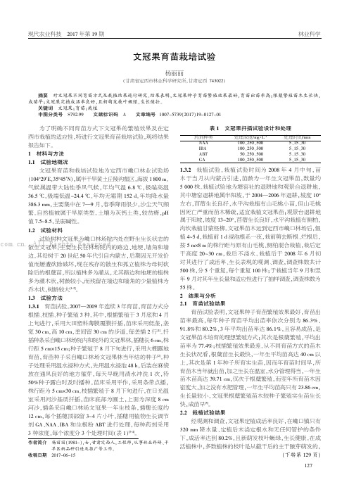 文冠果育苗栽培试验