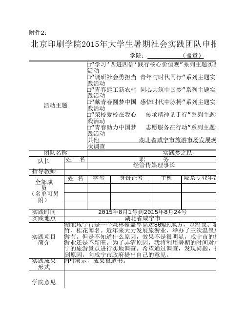 大学生暑期社会实践团队申报表