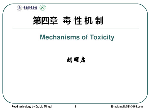 食品毒理学第四章