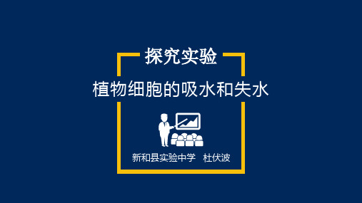 探究植物细胞吸水和失水实验说课课件