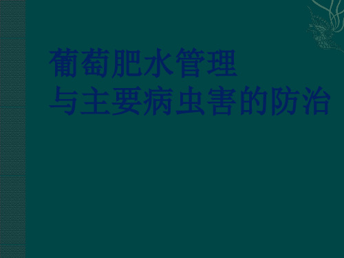 葡萄肥水管理与病虫害防治