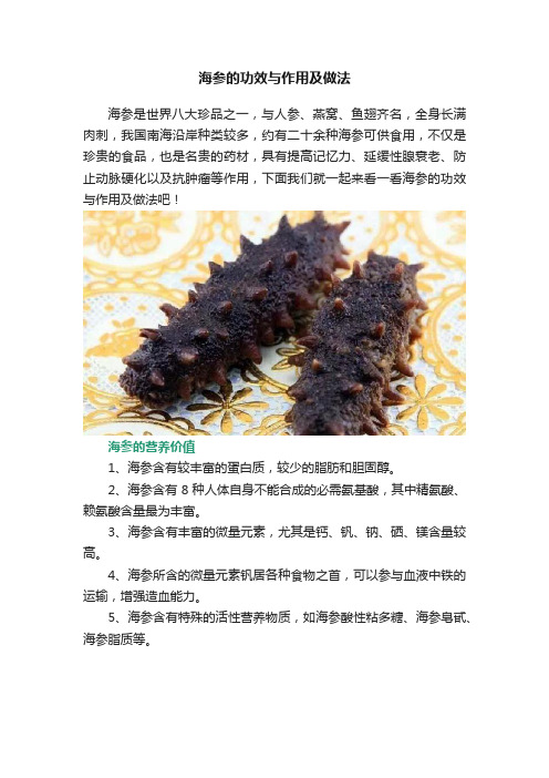 海参的功效与作用及做法