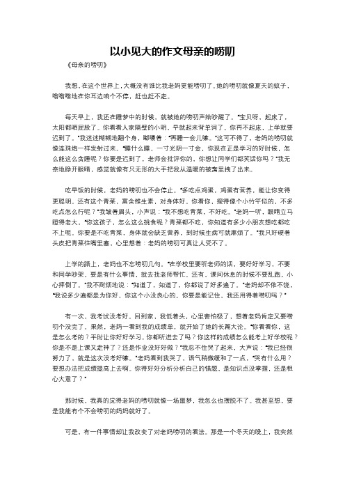 以小见大的作文母亲的唠叨