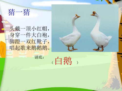 《咏鹅》PPT_课件解析