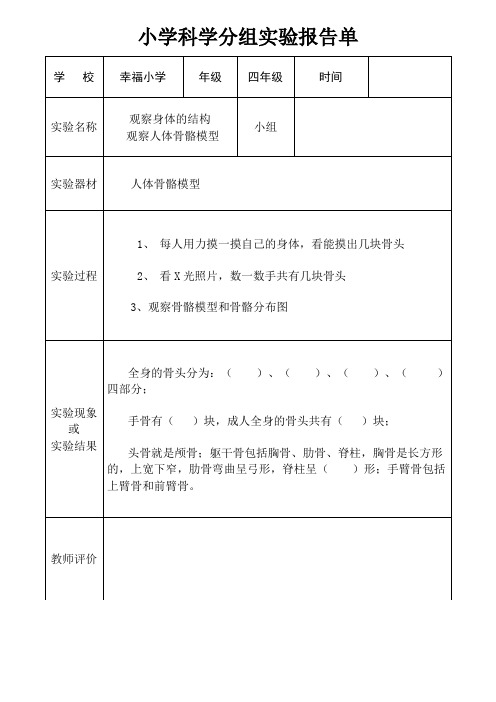 观察人体的骨骼模型实验报告单