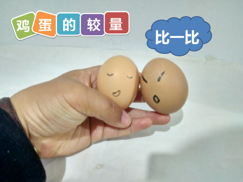 小学科学_科学教学课件设计