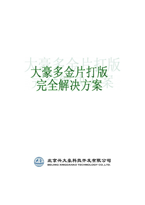 大豪多金片打版完全解决方案